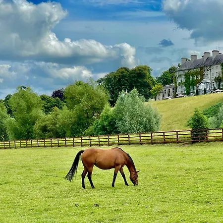 Rose Garden * Kilkenny