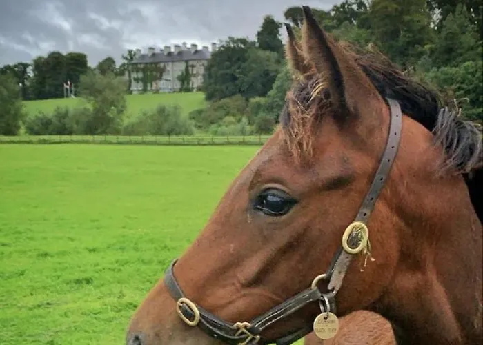Rose Garden בית נופש