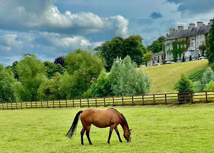Rose Garden * Kilkenny
